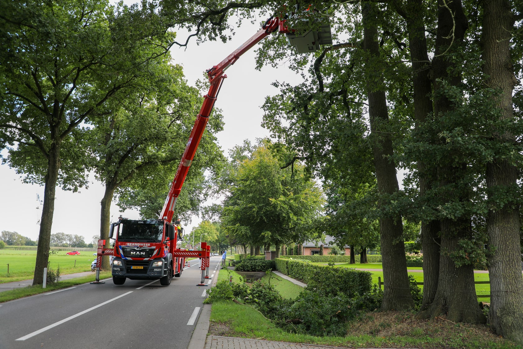 Brandweer verwijderd loshangende takken