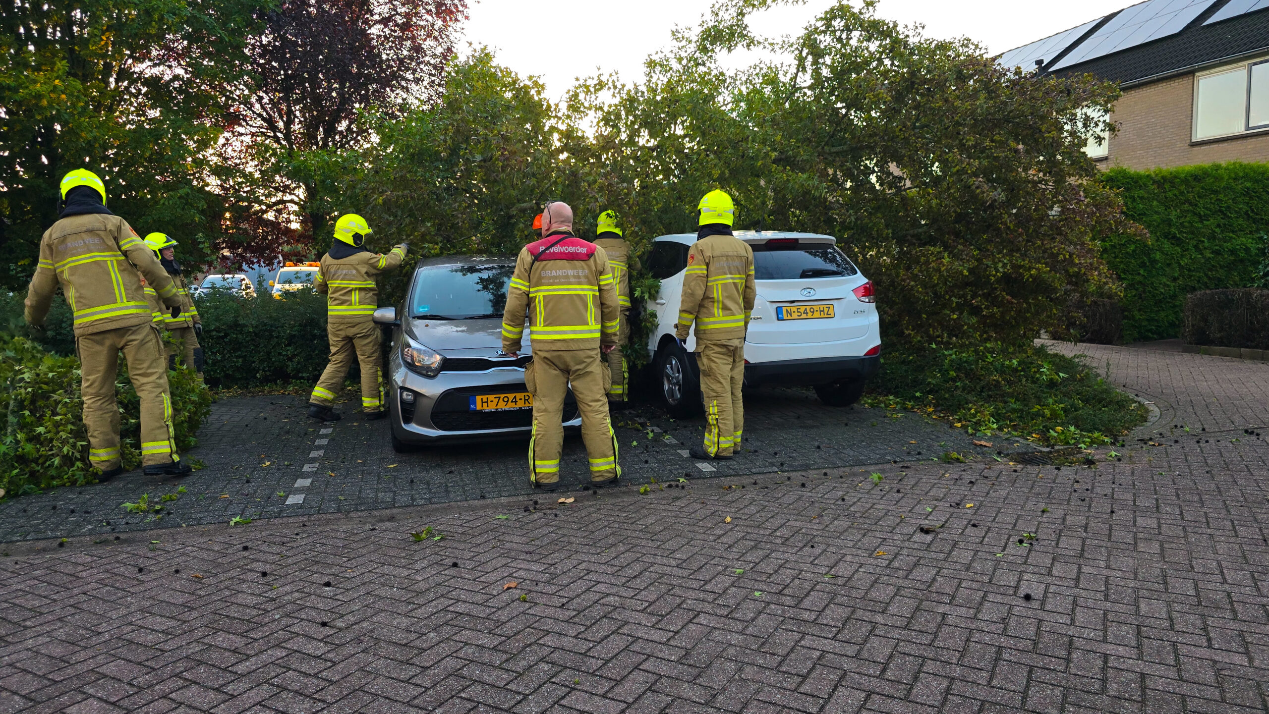 Boom valt om door wind, komt terecht op geparkeerde auto’s