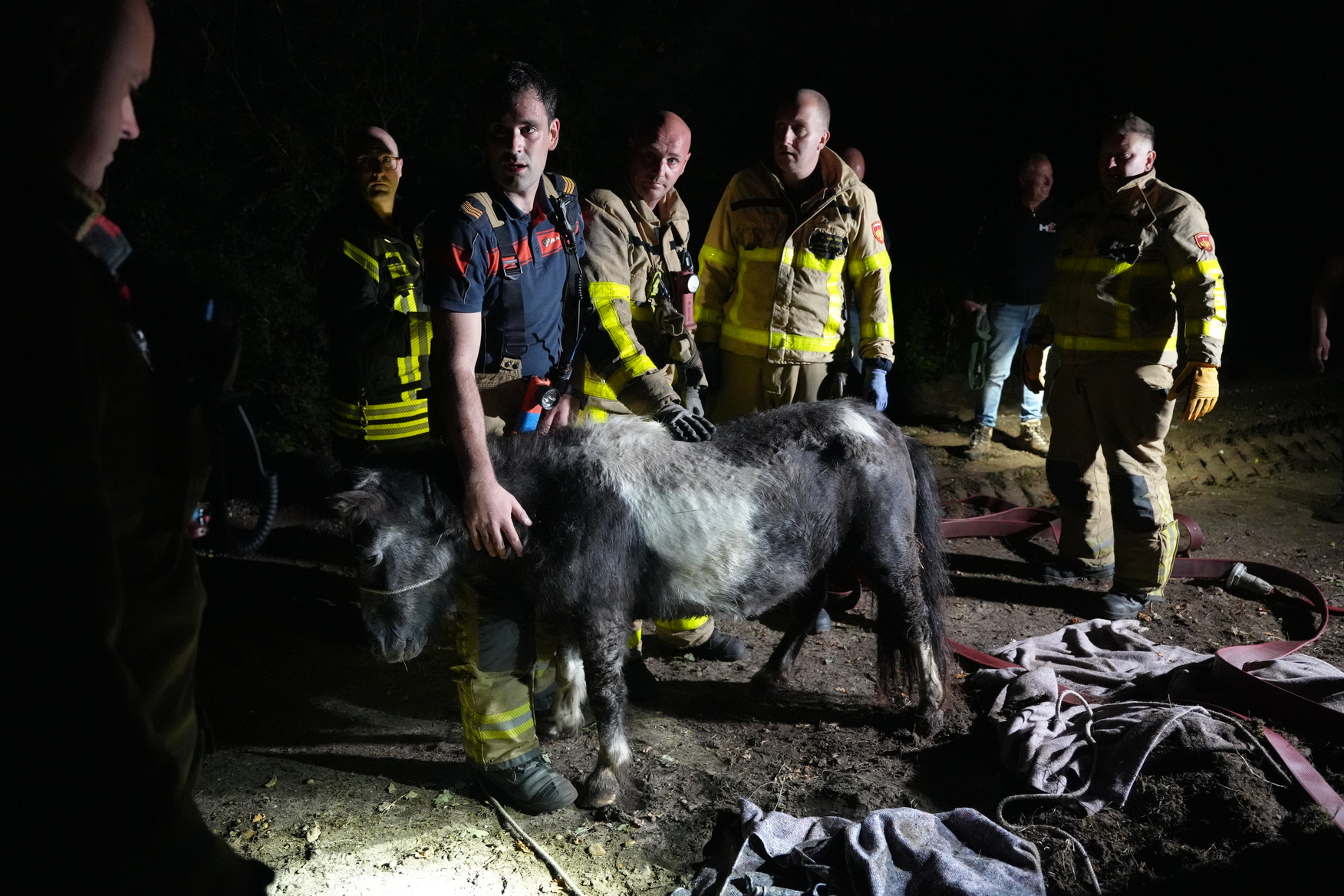 Brandweer redt pony die vast zit in sloot