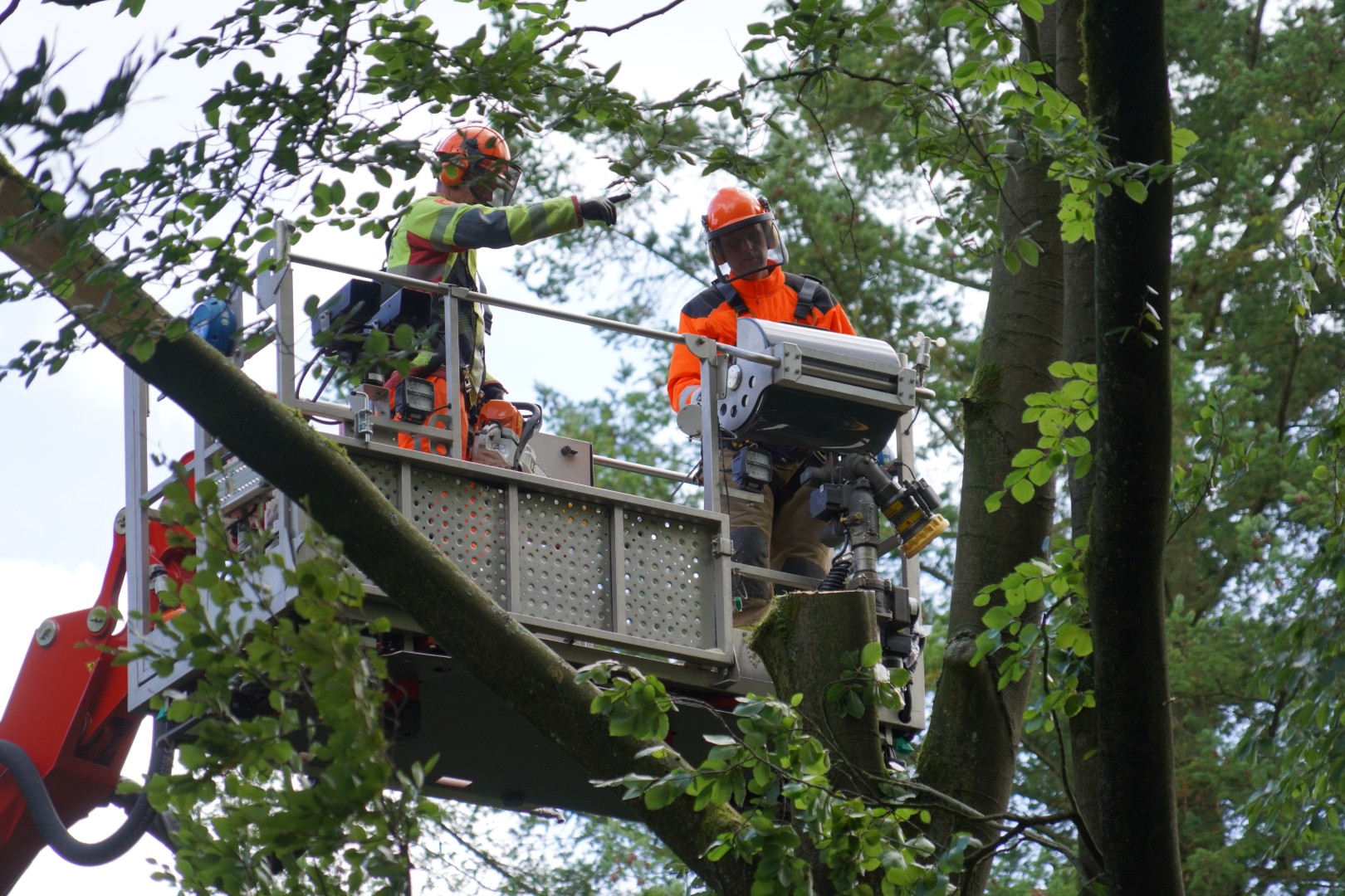 Brandweer twee uur druk met verwijderen loshangende takken na stormschade