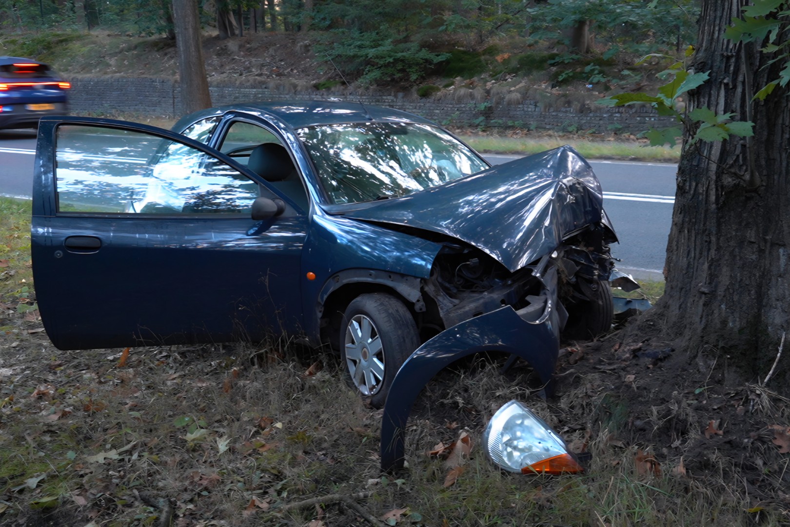 Automobilist raakt van de weg en botst tegen boom