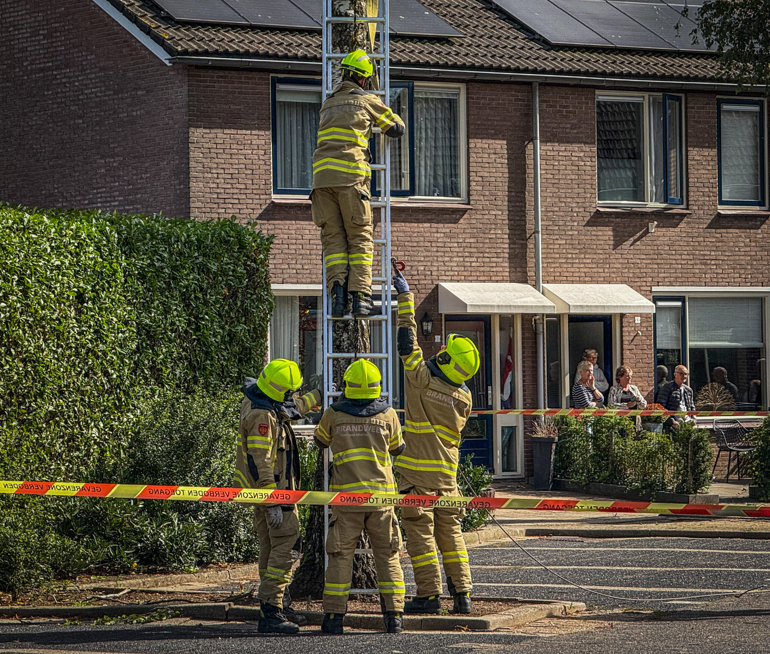 Boom dreigt om te vallen op geparkeerde auto’s