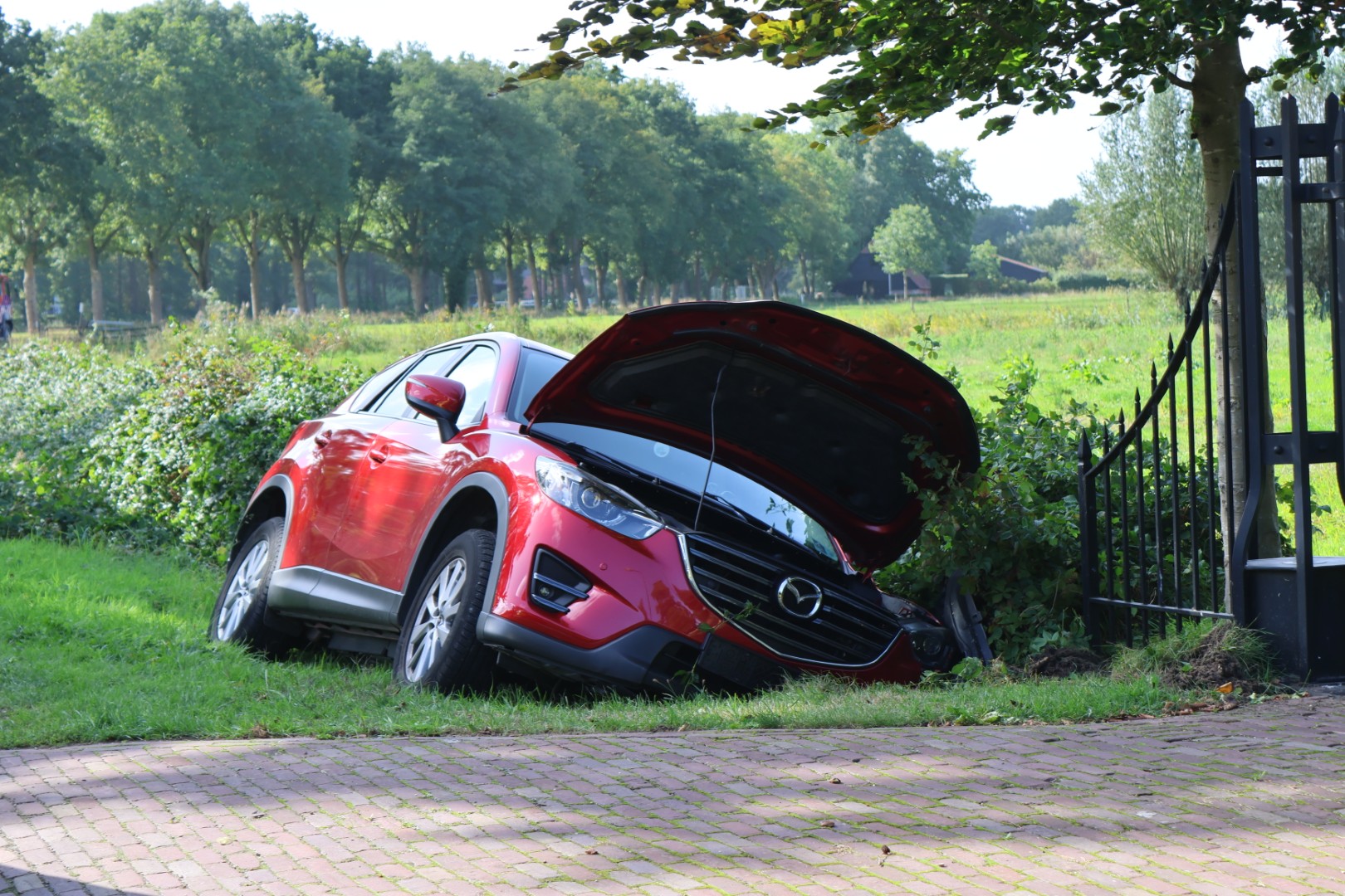 Bestuurder gewond nadat auto in greppel belandt