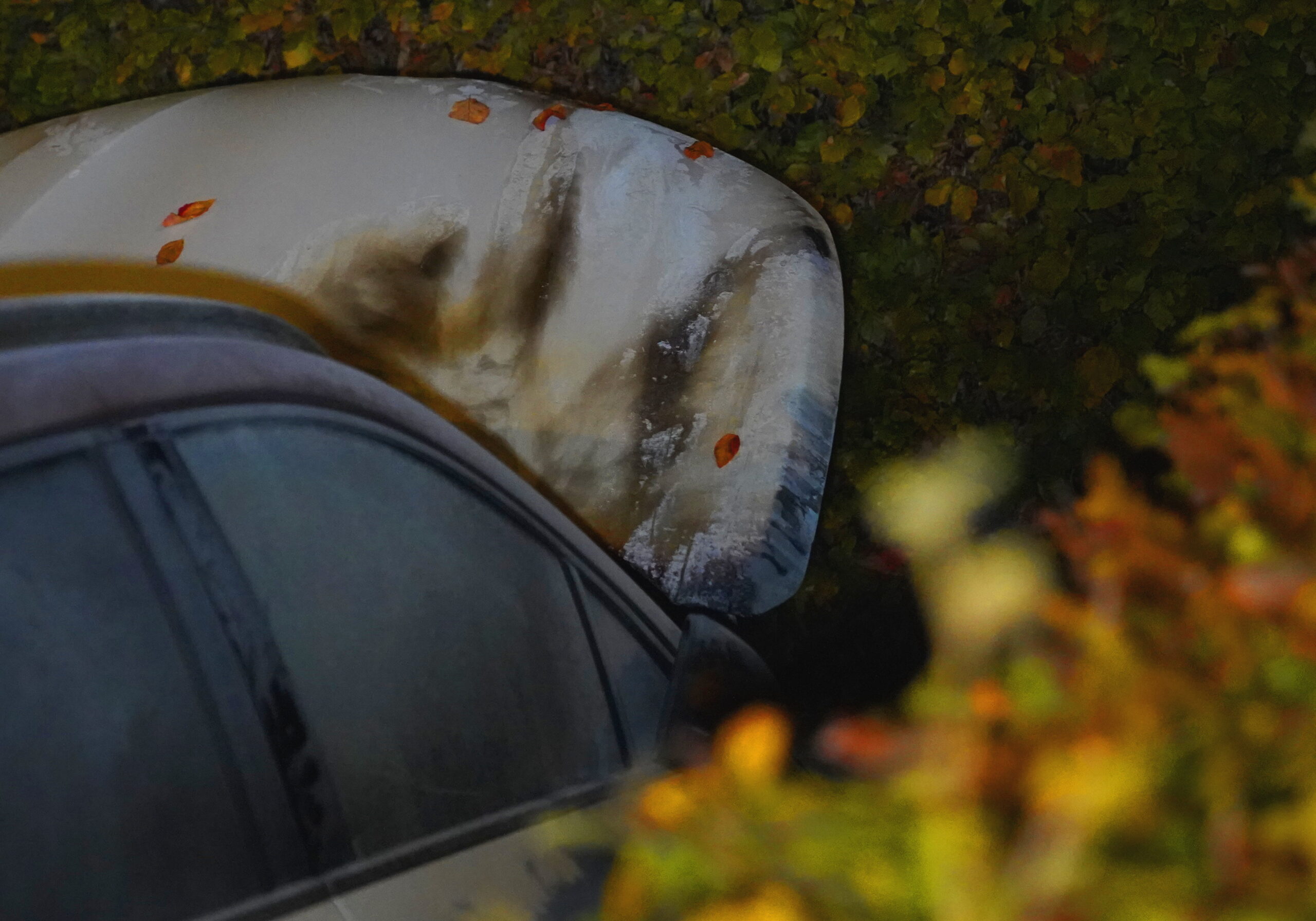 Auto in brand gestoken, twee gewonden