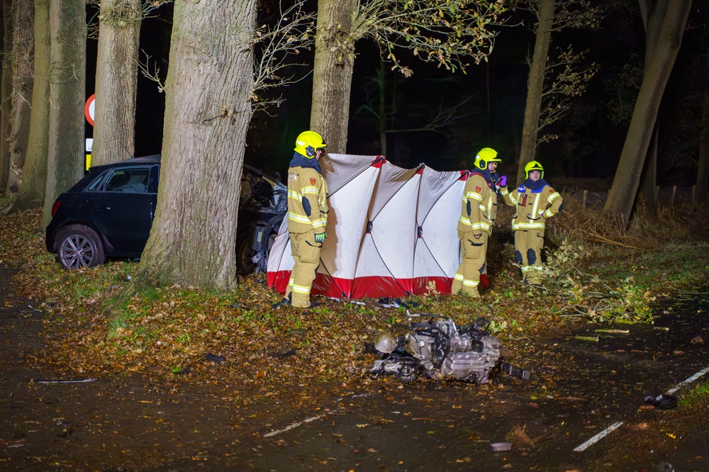 Automobilist overleden na crash tegen boom