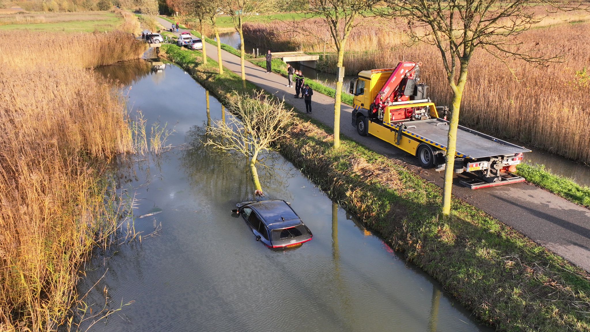Automobilist ramt boom en raakt te water