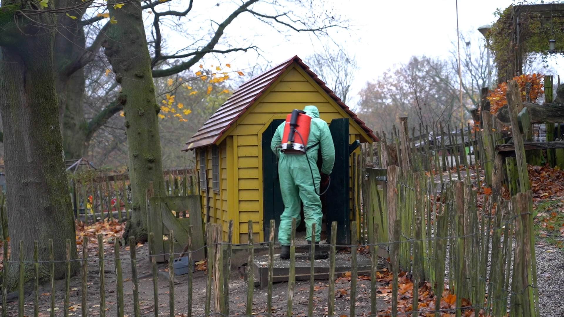 Vogelgriep op kinderboerderij: dieren geruimd