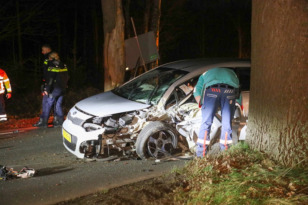 Forse schade na botsing tegen boom, bestuurder gewond