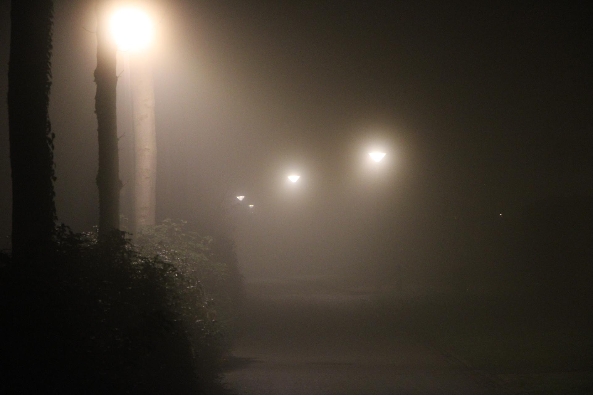 KNMI waarschuwt voor plaatselijk dichte mist tot zondagochtend