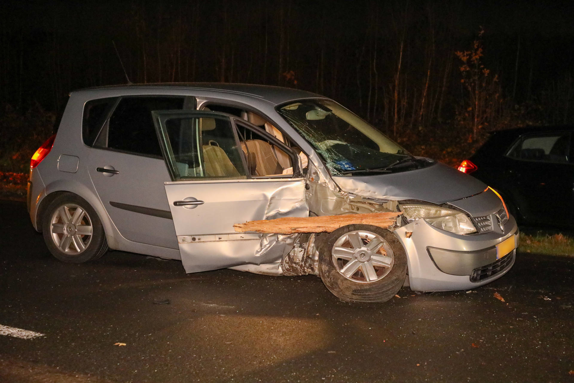 Bestuurster botst tegen boom