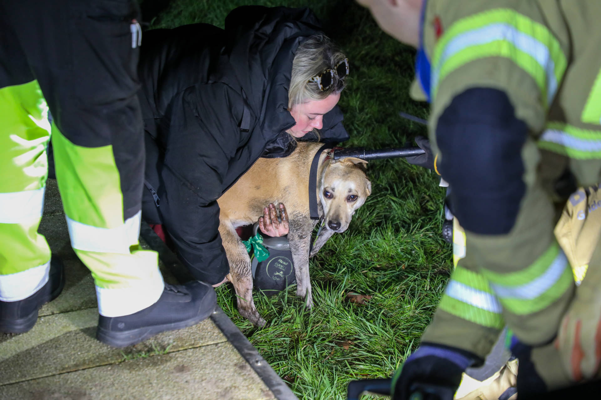 Brandweer bevrijdt hond die schrok van vuurwerk onder bruggetje