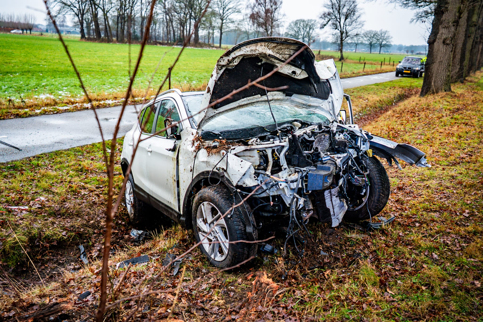 56-jarige man overleden na frontale botsing tegen boom
