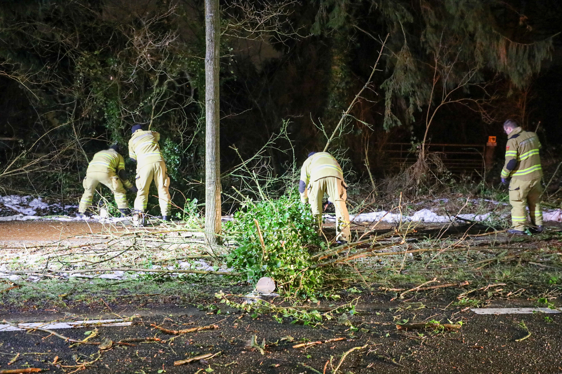 Rijksweg tijdelijk dicht door omgevallen boom