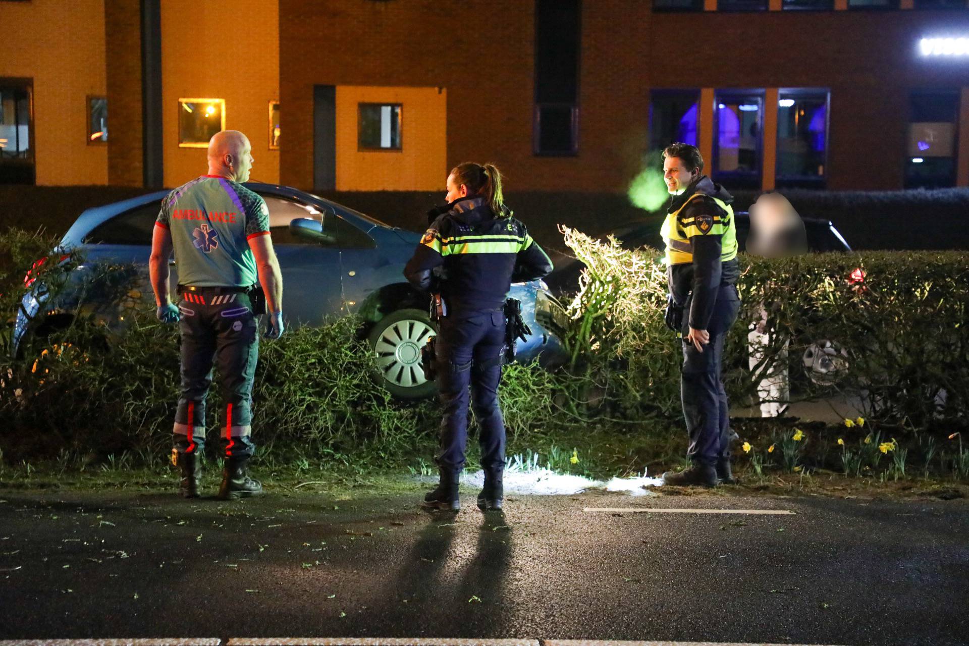 Vrouw raakt van de weg en belandt in heg