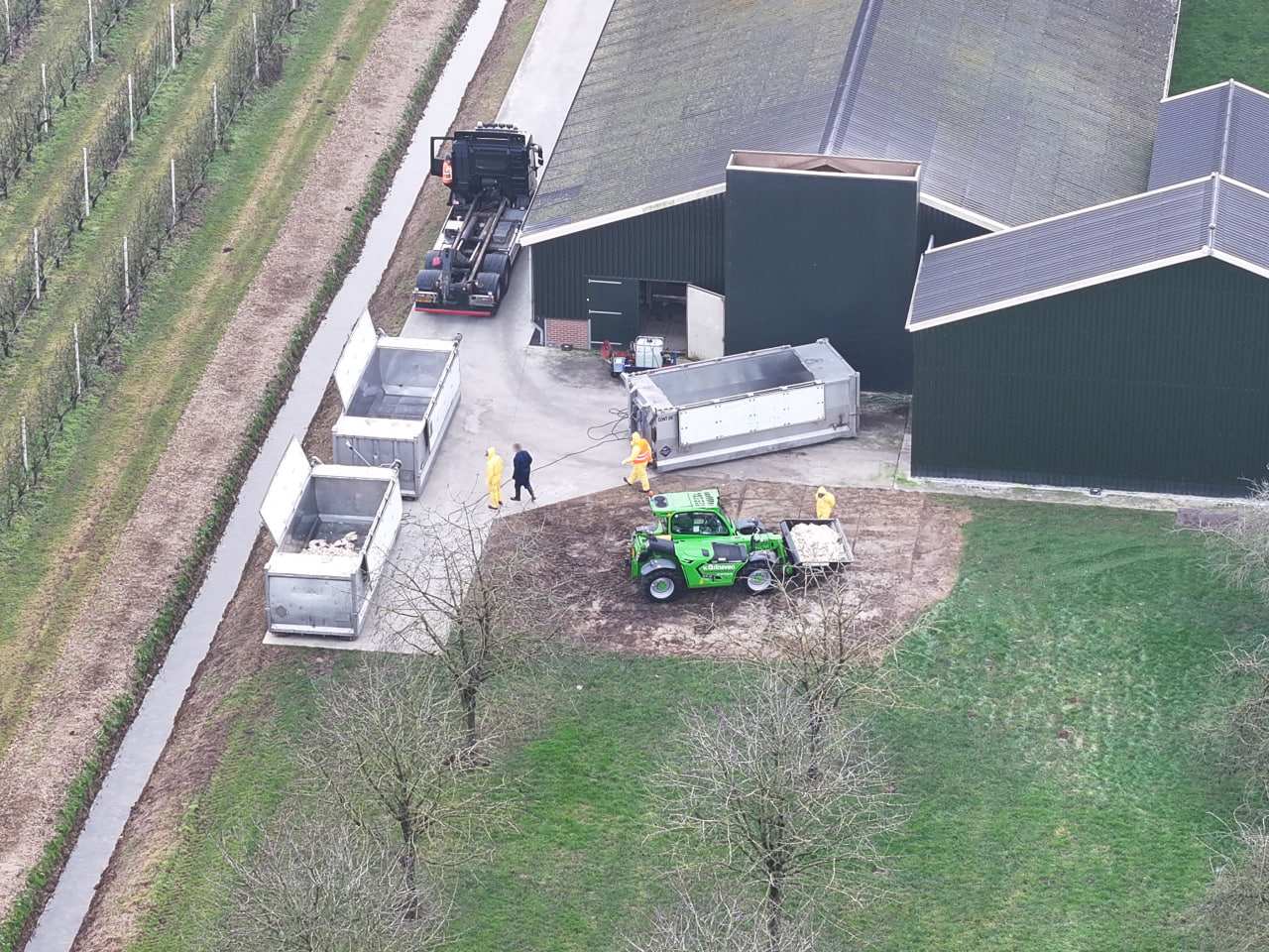 44.000 Kippen geruimd na door vogelgriep bij pluiveebedrijf