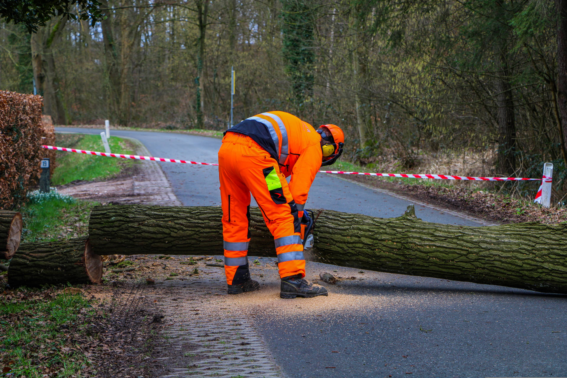 Omgevallen boom blokkeert rijbaan, brandweer zaagt weg vrij