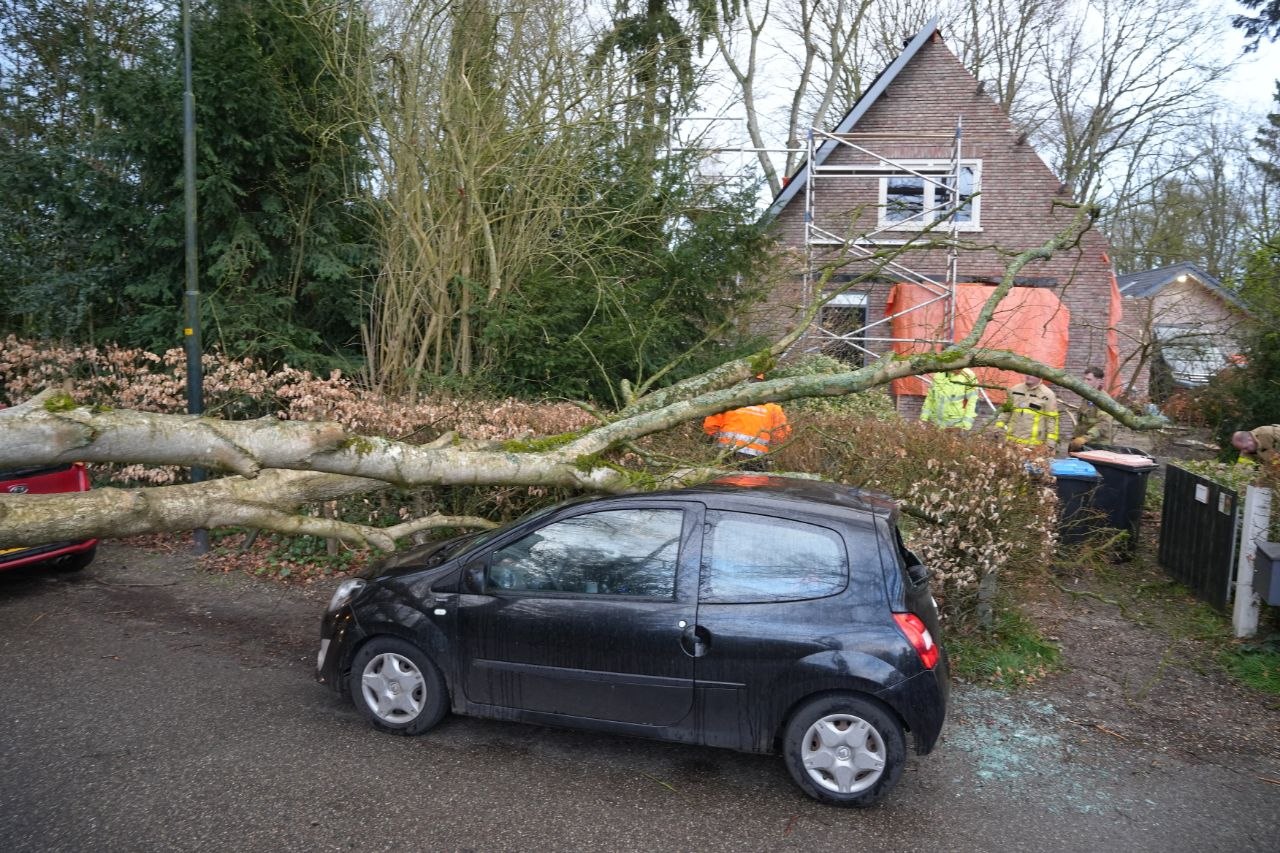 Boom waait om en valt op geparkeerde auto
