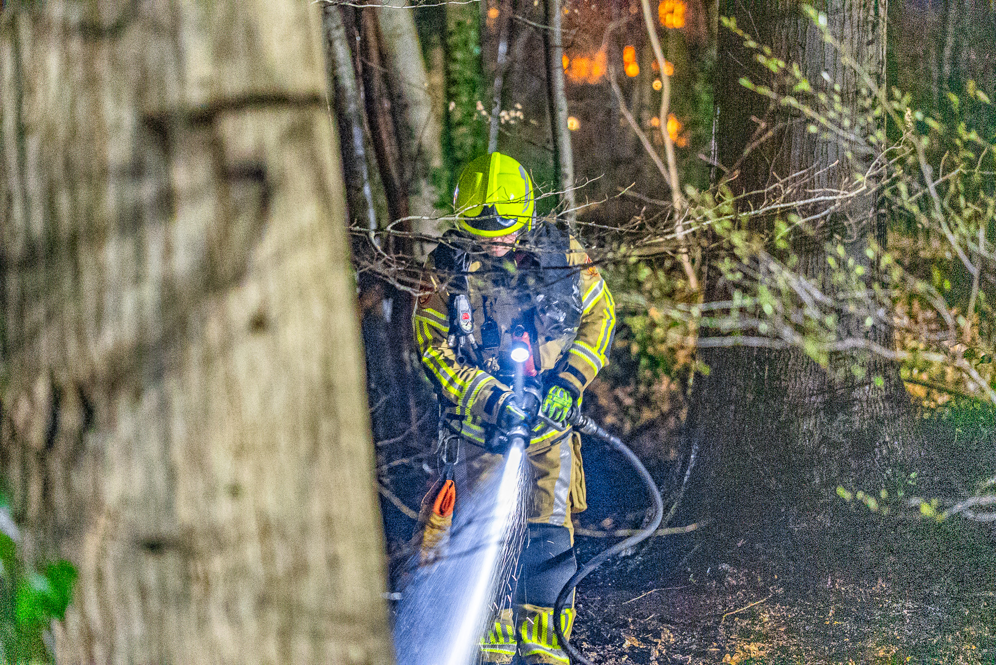 Brand in bosgebied tussen wooncomplex en instelling