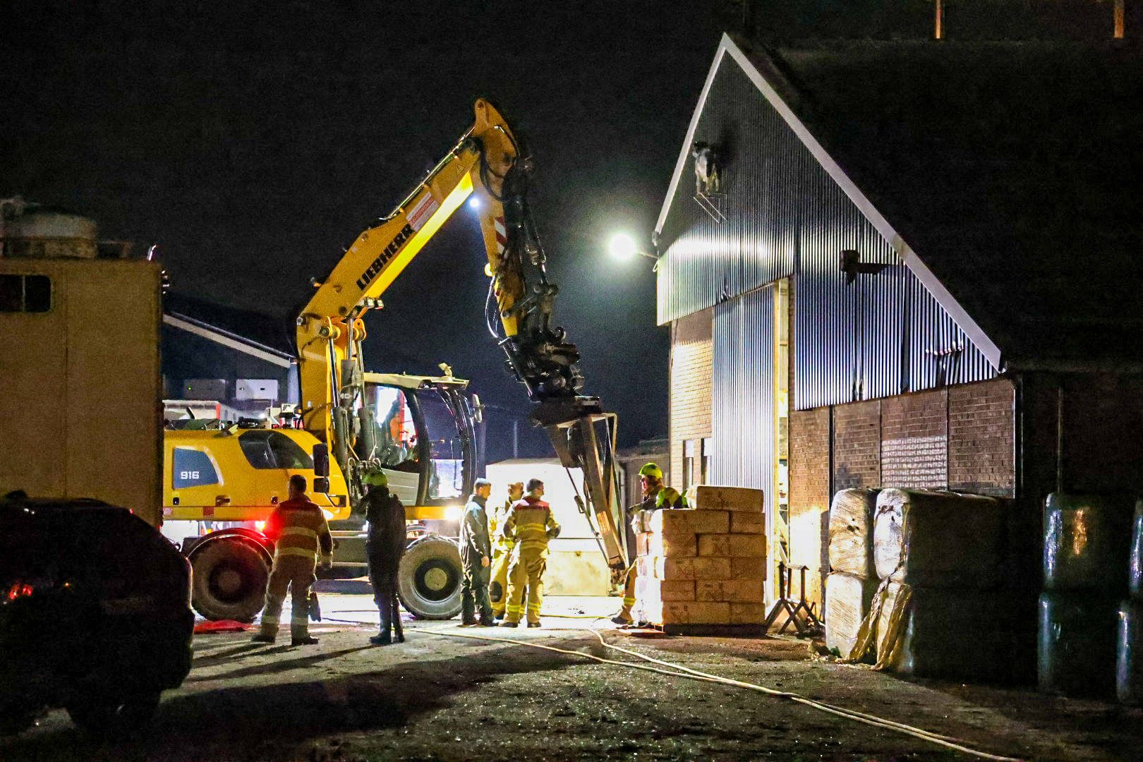 Koeien vallen in put, persoon raakt gewond