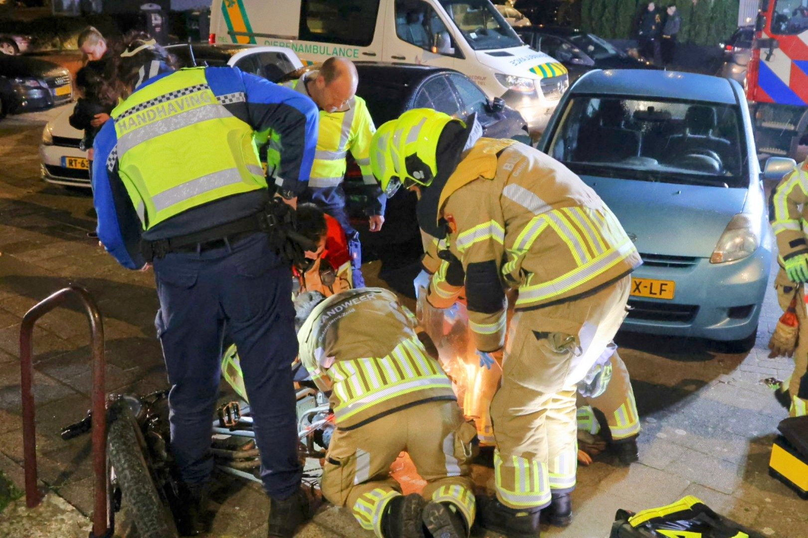 Brandweer slijpt spaak los uit ooglid van hond na ongeluk met fatbike