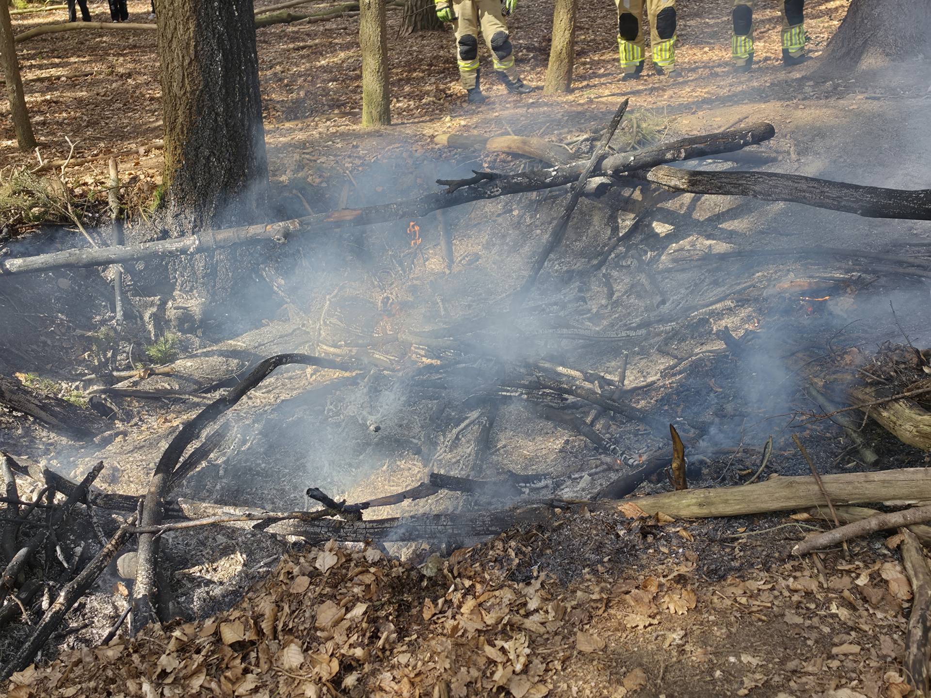 Jongen gehoord na ontdekking van twee brandhaarden in bos