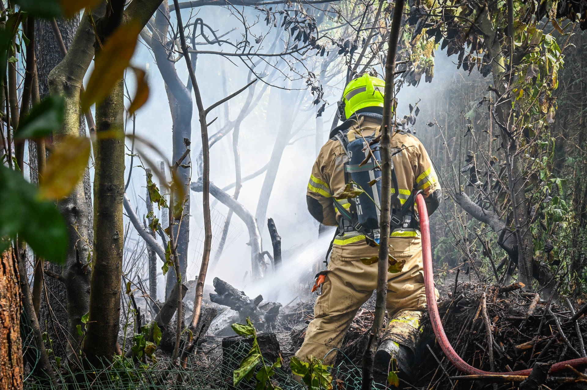 Grote schade in tuin na brand in houtwal door droogte