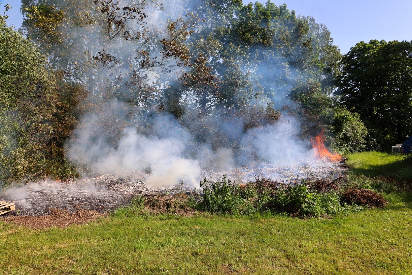 Brand in gras en struikgewas