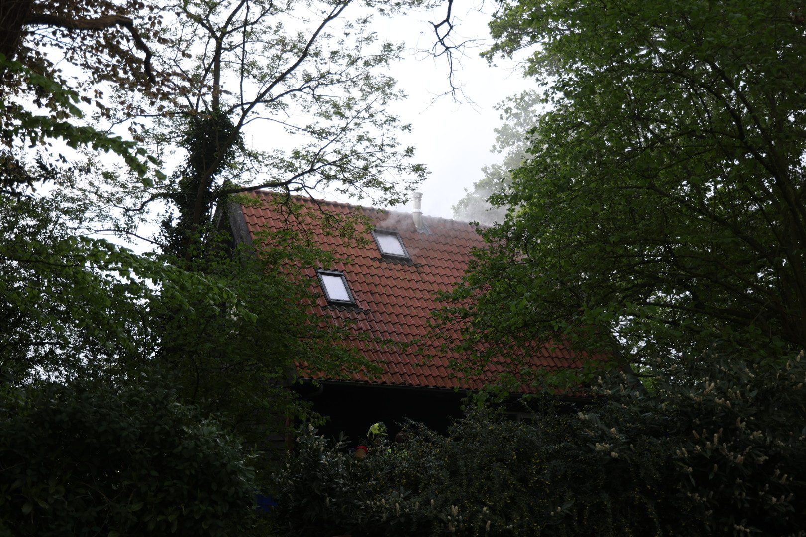 Bewoners en hond op tijd uit woning na uitbreken brand