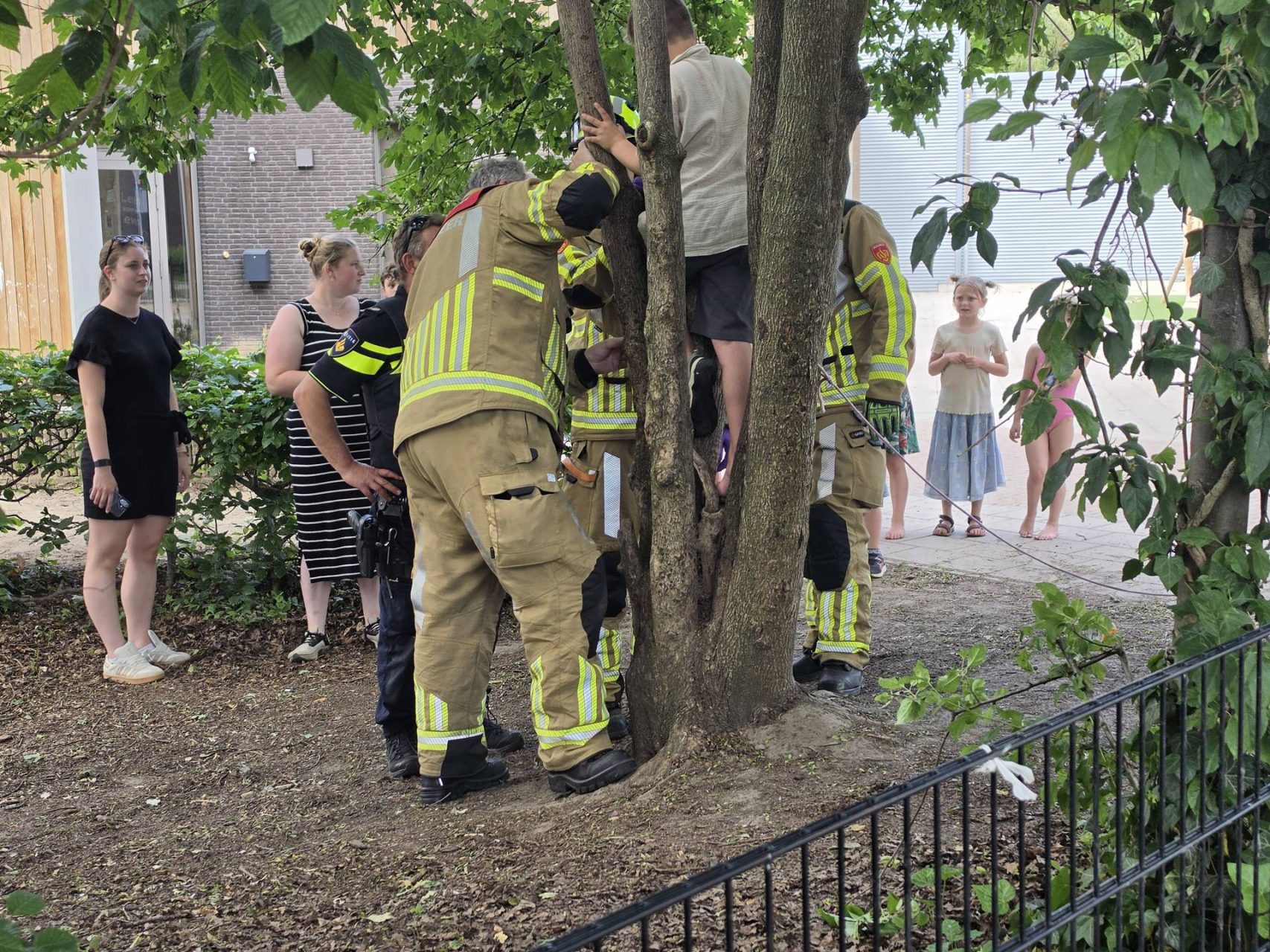 Jongen bekneld tussen takken van boom