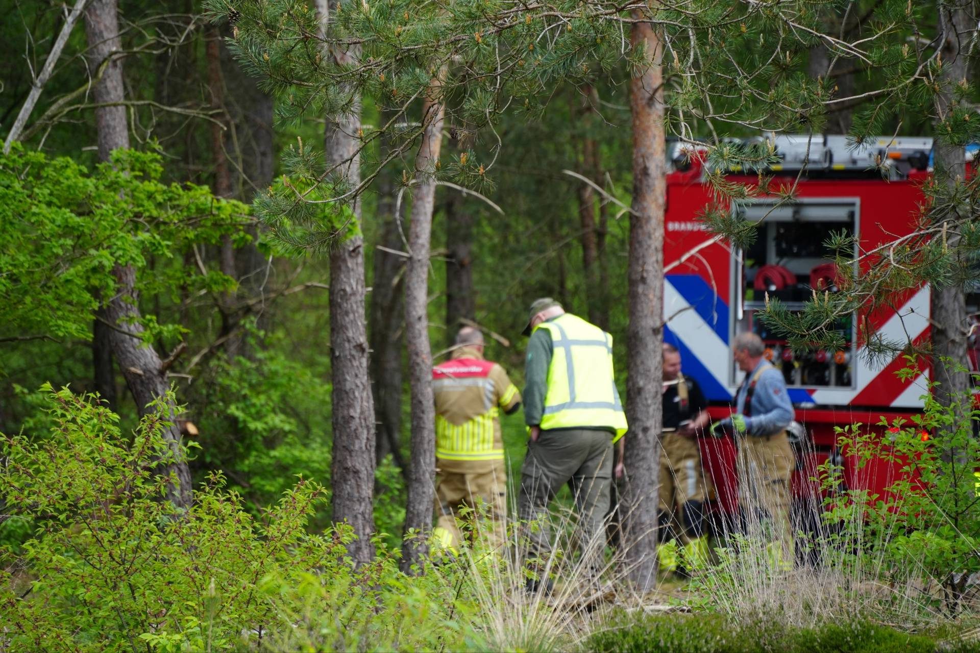 Treinverkeer stilgelegd door bosbrand langs spoor