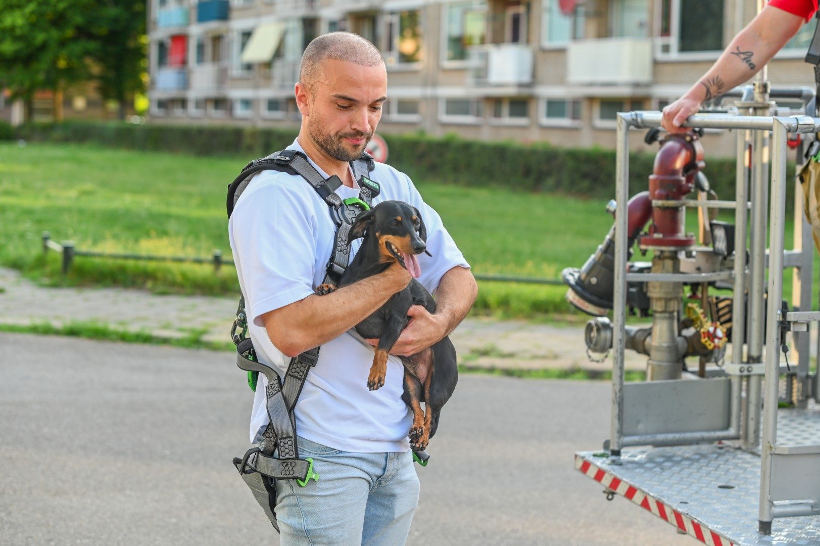 Hond belandt op dak via zolderraam, brandweer schiet te hulp Nijmegen