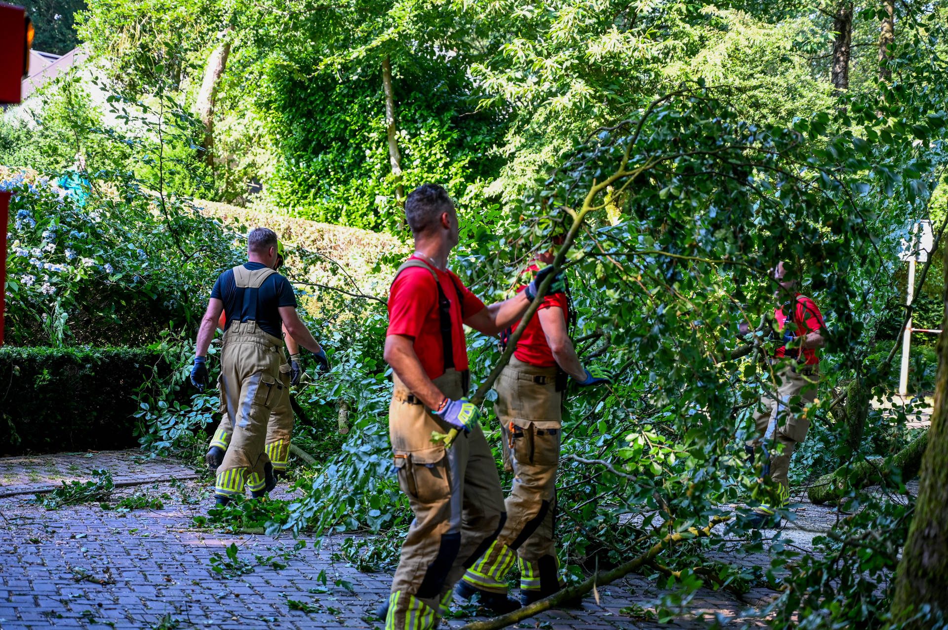 Brandweer verwijderd gevaarlijke tak na stormschade