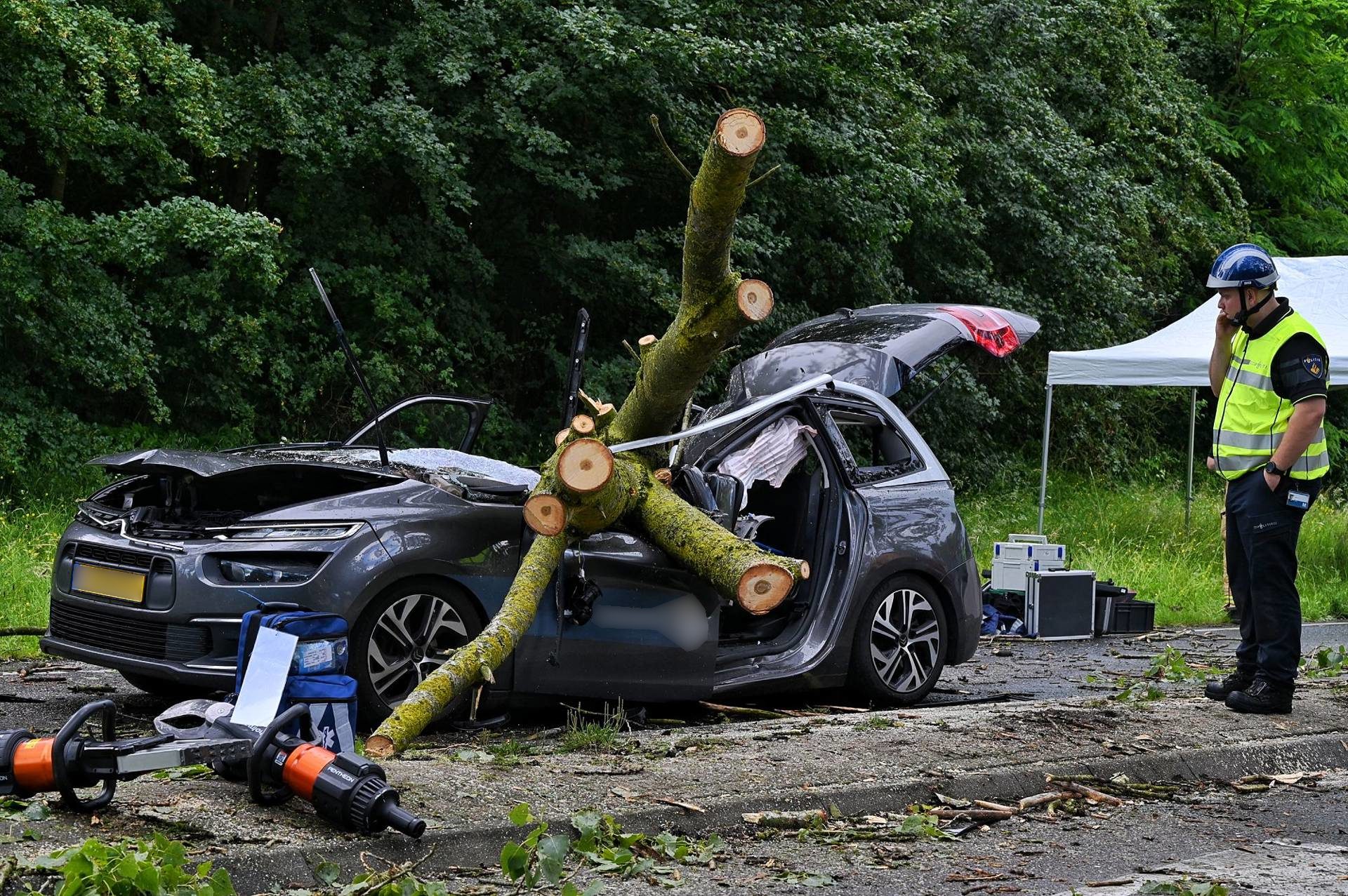 Bestuurder (45) overleden nadat boom op auto valt