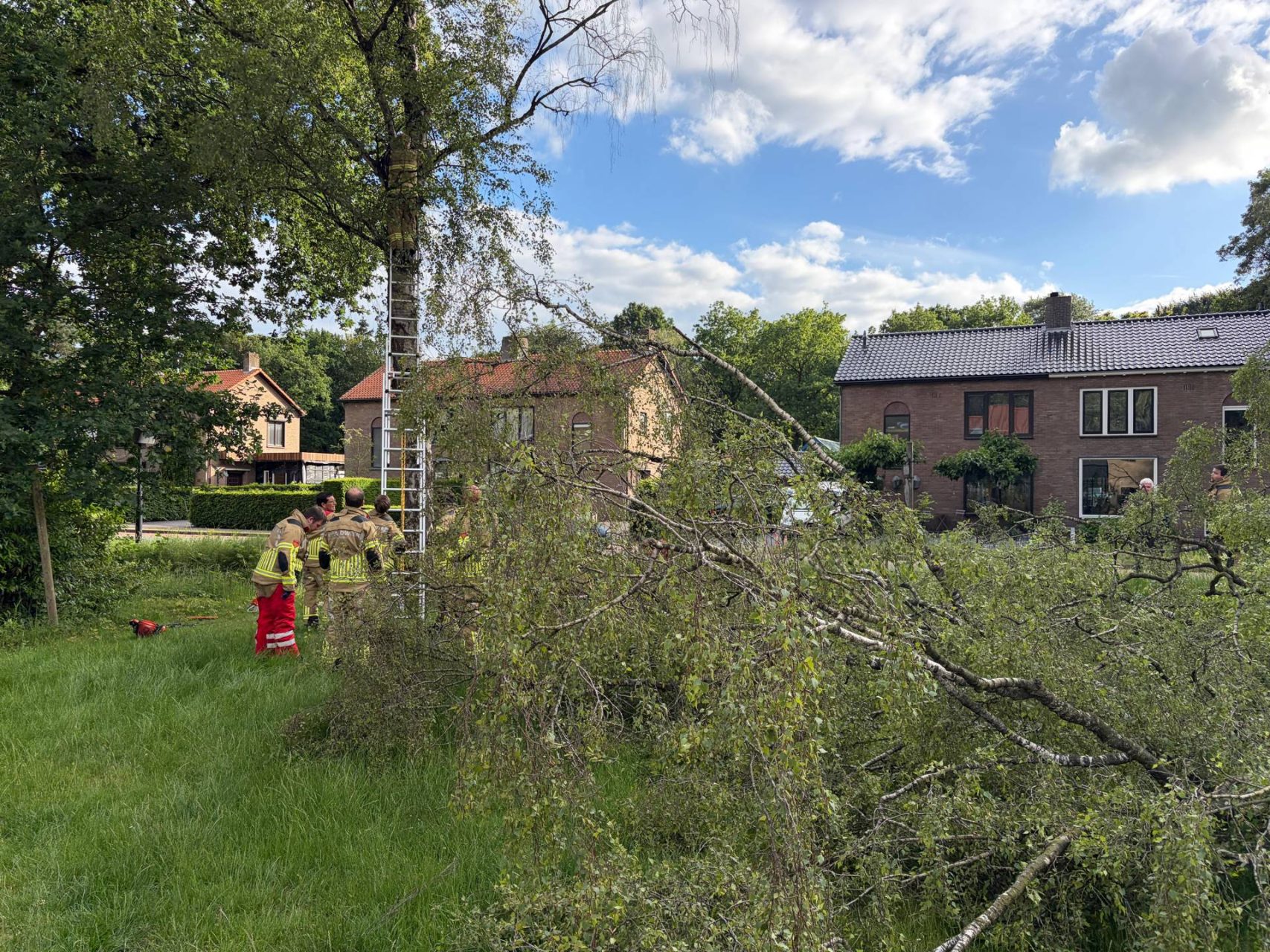 Omgevallen boom mist spelende kinderen op haar na in Harskamp