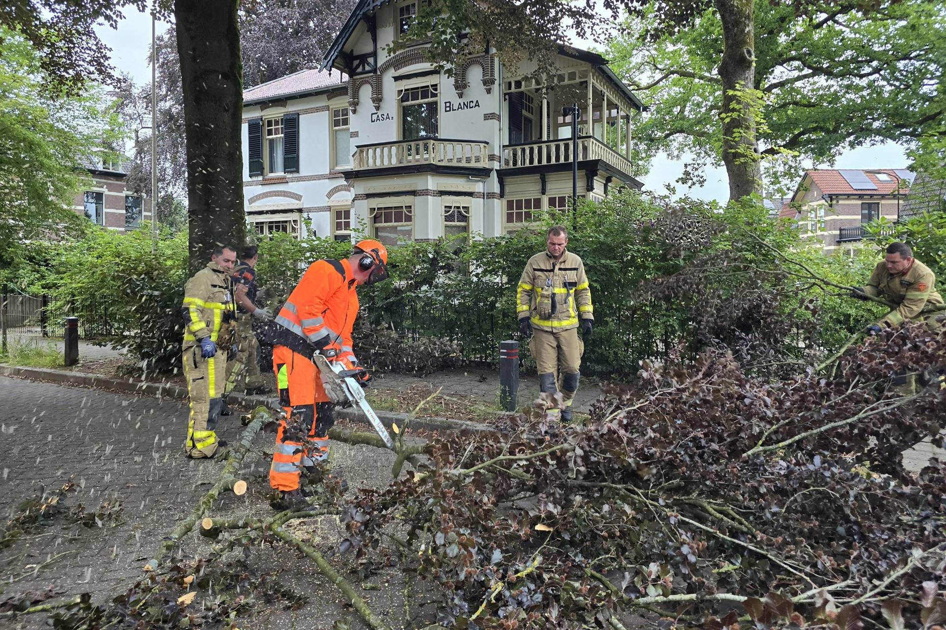 Brandweer ruimt afgebroken tak op in Apeldoorn