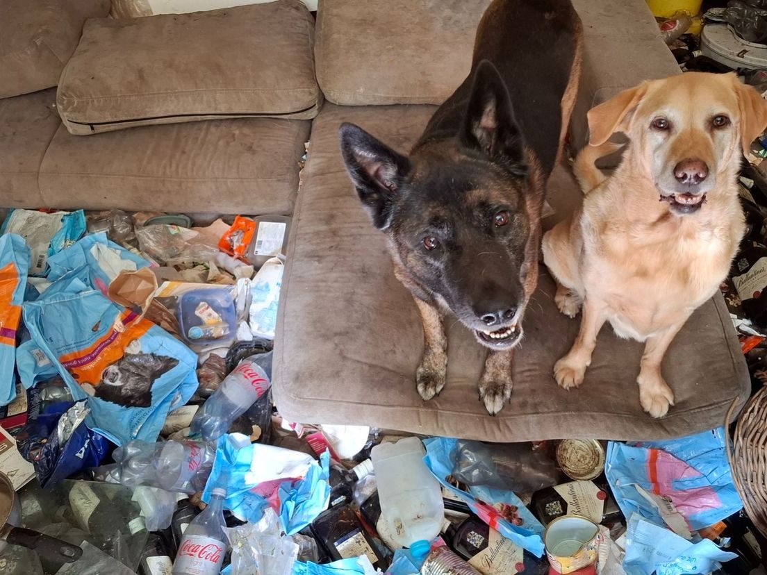 Inspectiedienst redt 16 dieren uit huis vol vuilnis in Elburg