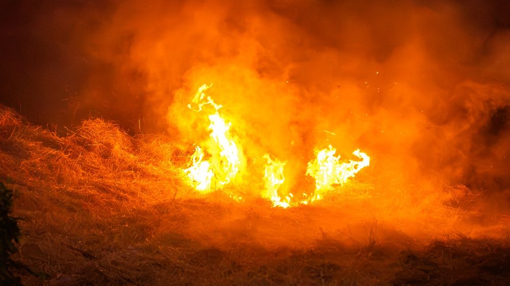 Flinke bermbrand bij station Dukenburg in Nijmegen