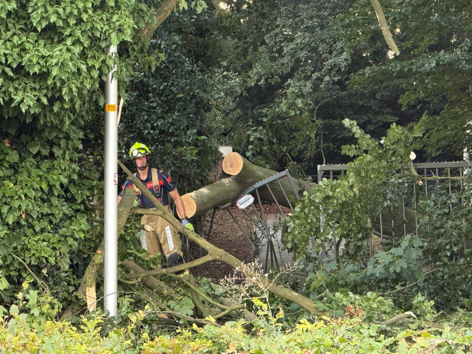Grote boomtak breekt af door droogte, brandweer ingeschakeld