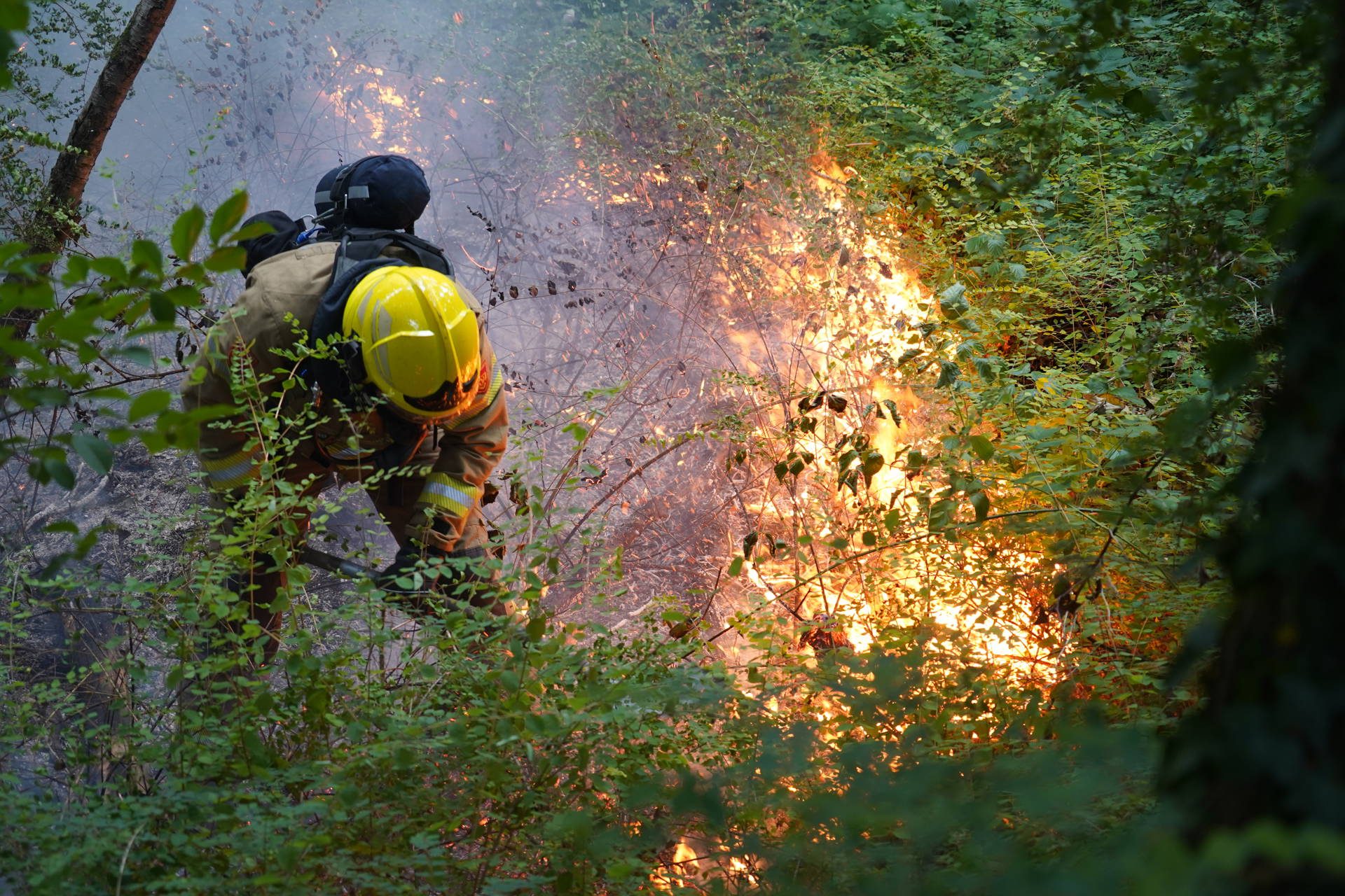Vlammen en veel rook bij brand in bosperceel