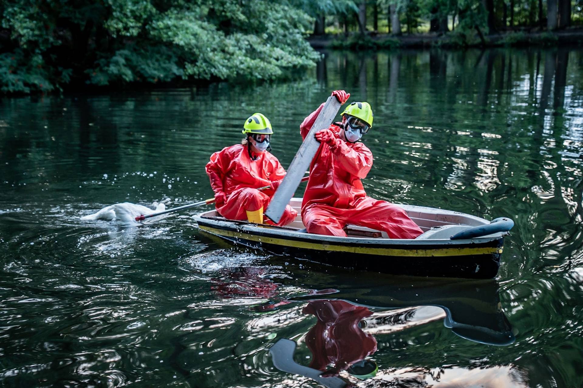 Brandweer haalt overleden zwaan uit vijver