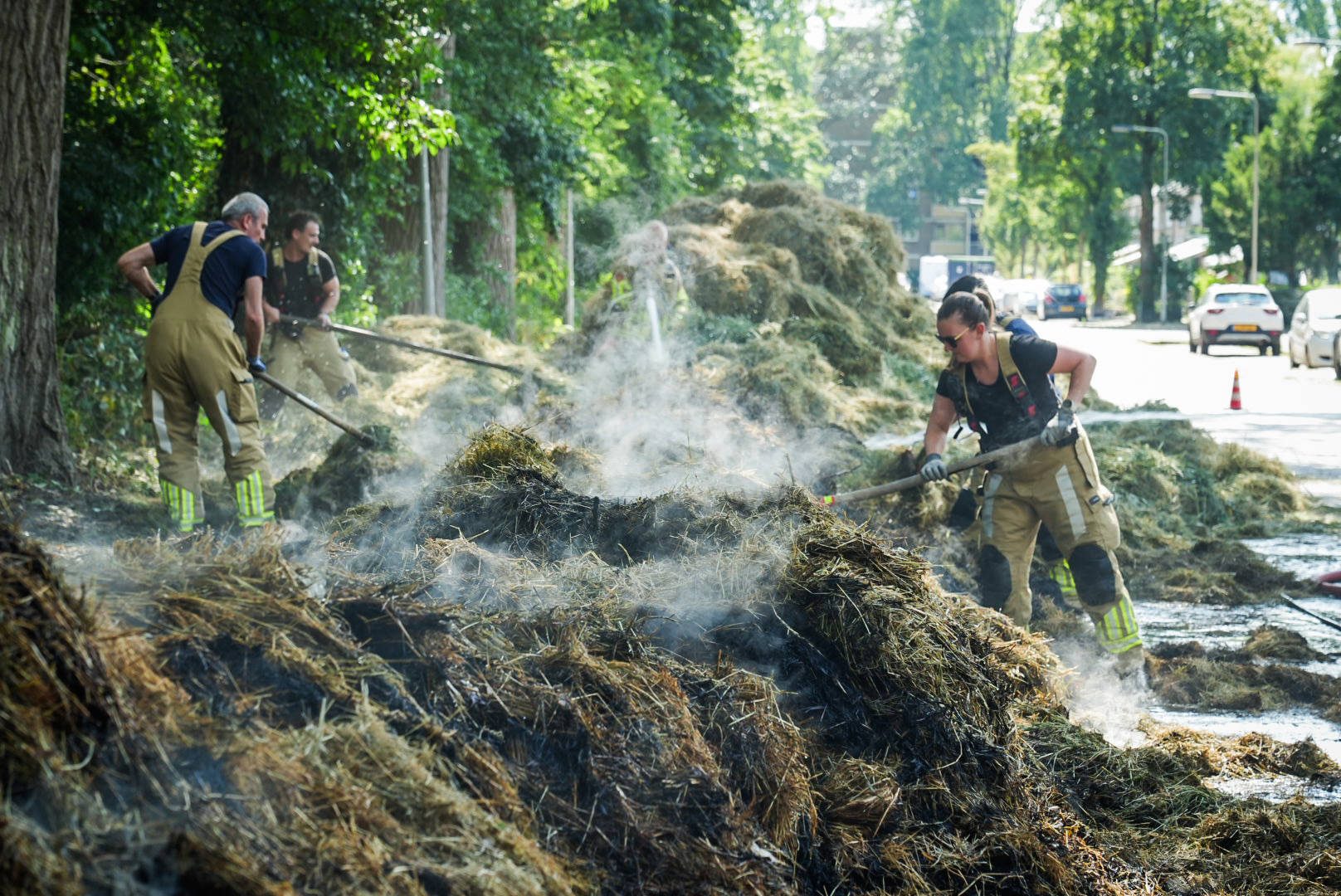 Grote hoeveelheid gemaaid gras in brand