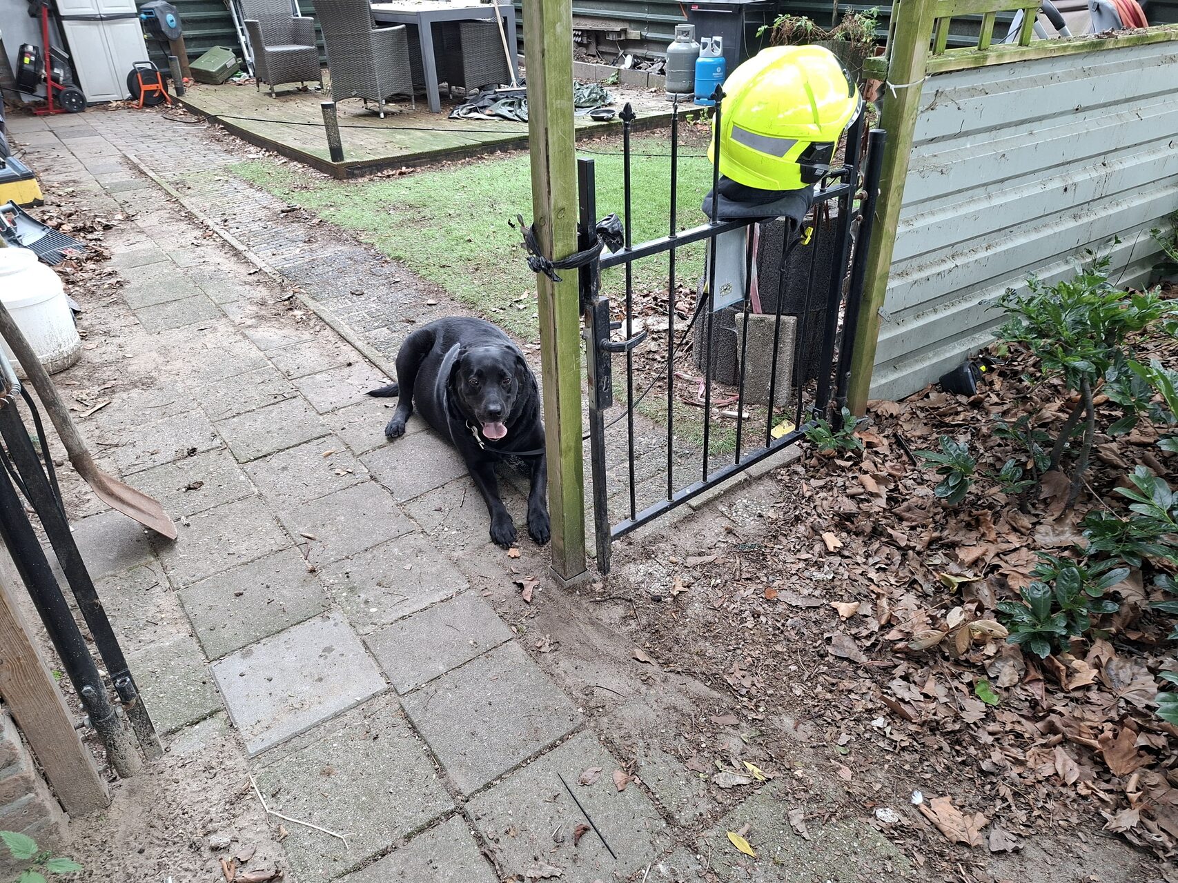 Brandweer redt hond bij vergeten pannetje op vuur Barneveld