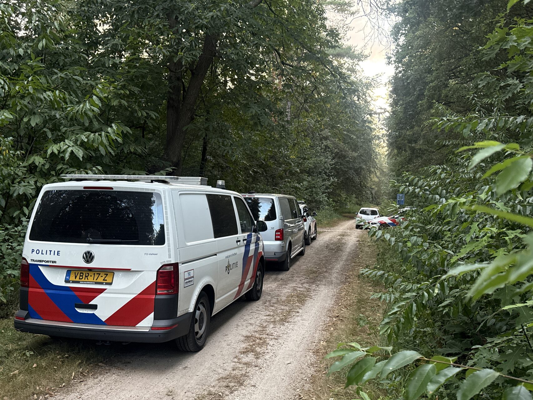 Forensische Opsporing doet onderzoek bosgebied in Groesbeek