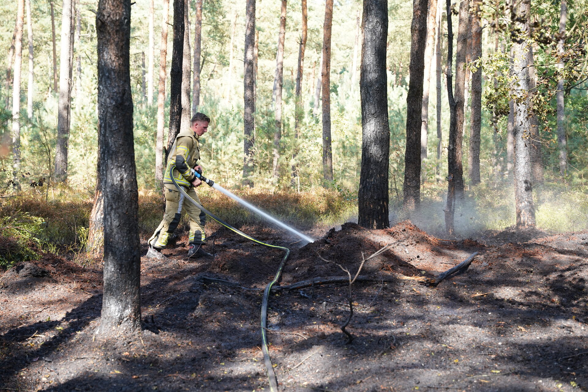 Brandweer rukt uit voor brand in bos en heide
