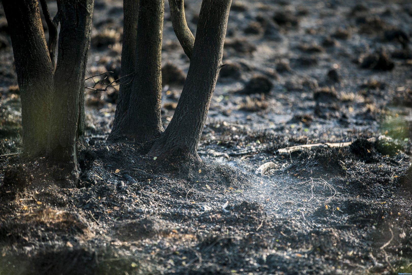 Brandweer waarschuwt na buitenbrand: natuurgebieden zijn kurkdroog
