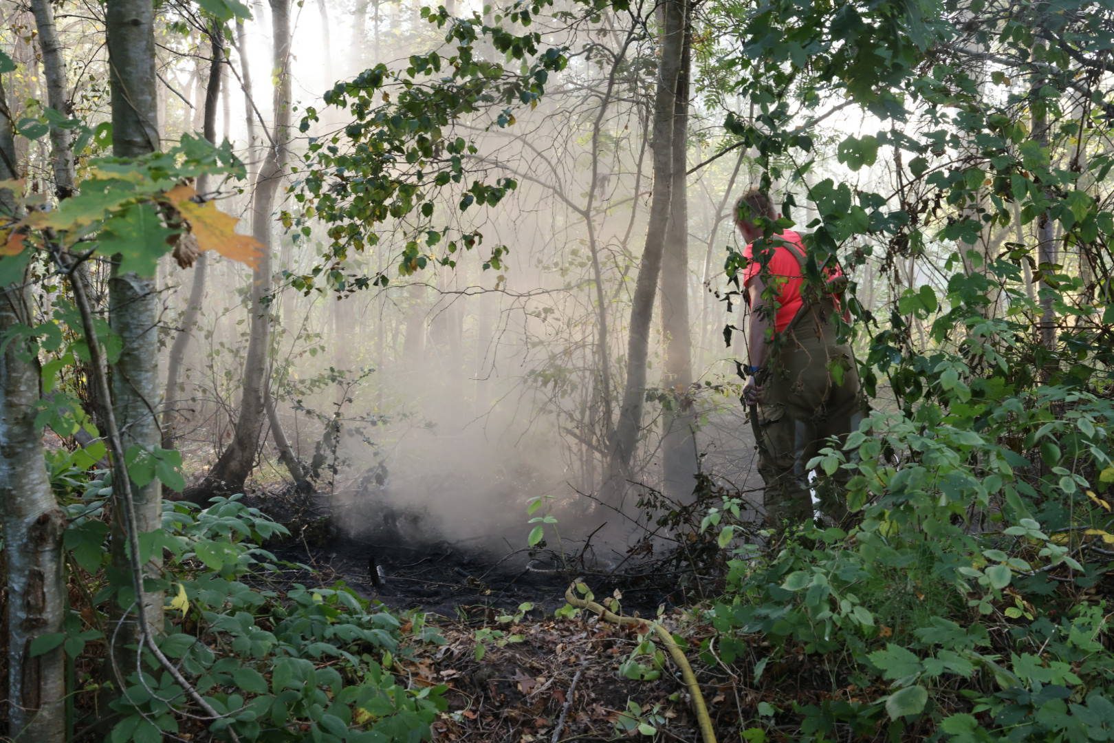 Flink stuk bos in brand, warmte diep in bodem Barneveld