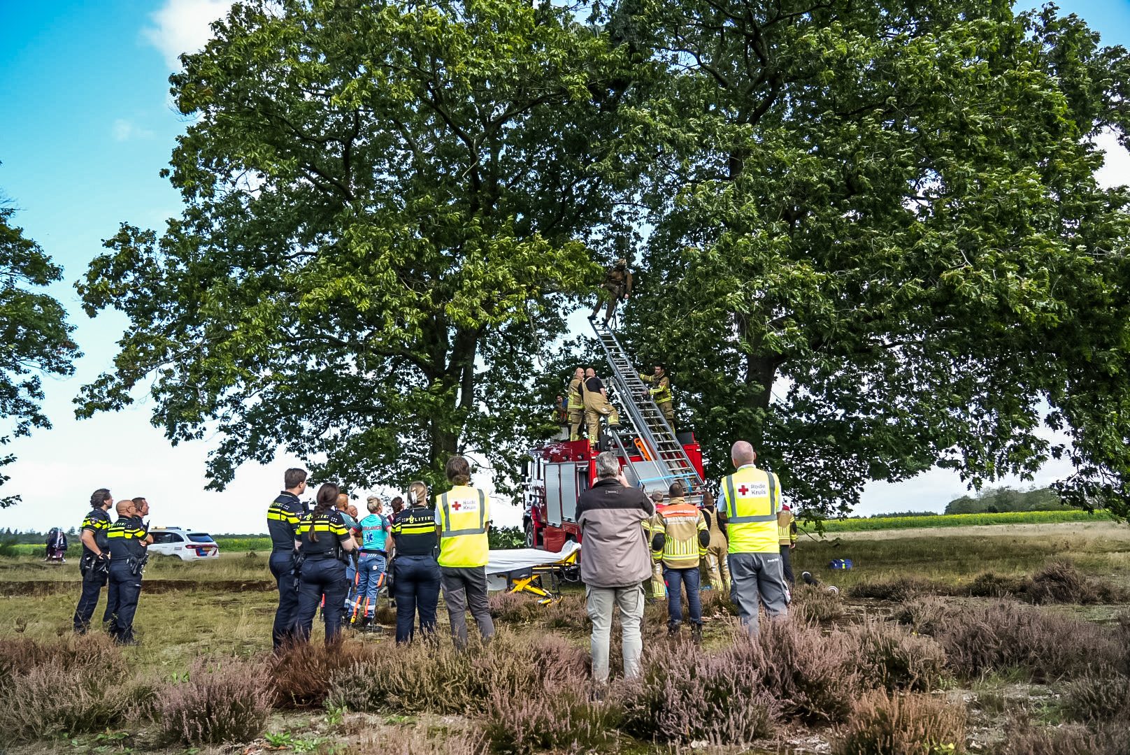 Parachutist vast in boom, brandweer zet springkussen in