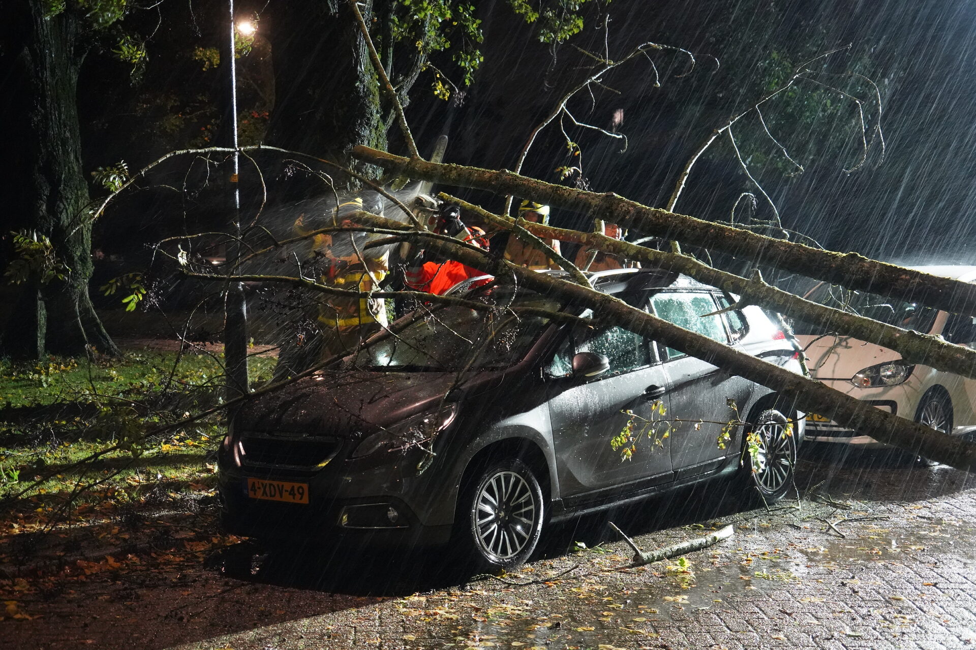 Storm Boelo zorgt voor omgewaaide bomen en schade