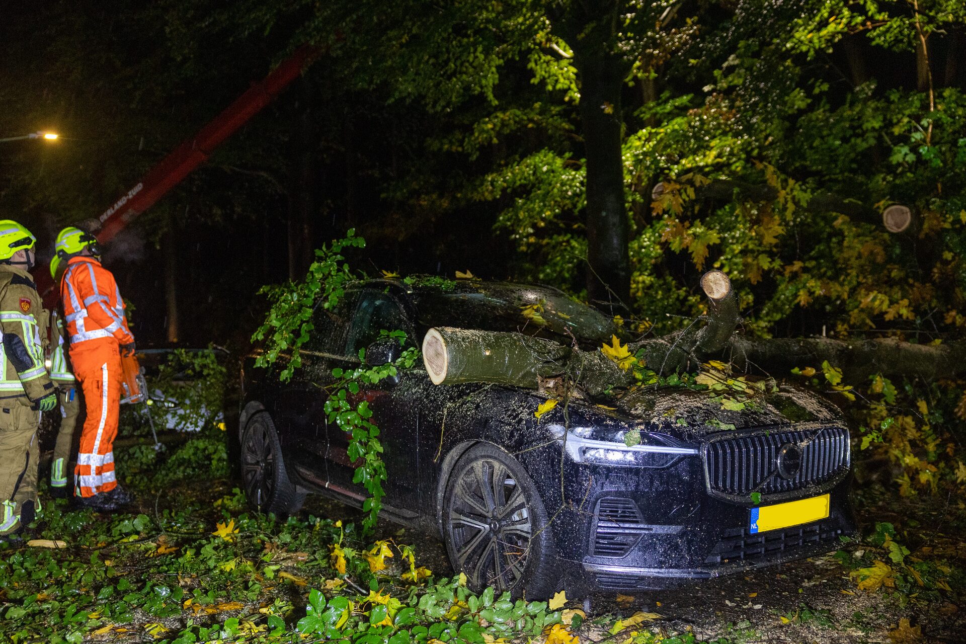 Boom valt op geparkeerde auto in Nijmegen, flinke schade